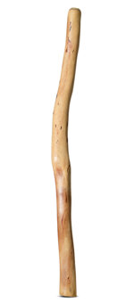Natural Finish Didgeridoo (TW1578)
